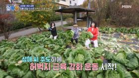 배추 뽑다가 운동하기? 무릎엔 허벅지 근육이 굉장히 중요하다는데! MBN 241212 방송