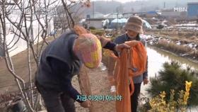 함평의 한 열대농장, 이곳엔 열정맨 남편의 있다?! MBN 250209 방송