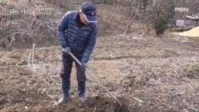 [선공개] 꽃할배 남편의 ‘댄서의 순정’ MBN 250309 방송