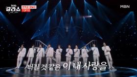 10명의 왕자와 함께♥ 각양각색 TOP10의 선물~! TOP10 ♬ 나 그대에게 모두 드리리 MBN 250311 방송