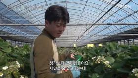 ‘생각보다 많이 힘들어요’ 쉬운 일은 하나도 없다는 아들! MBN 250316 방송