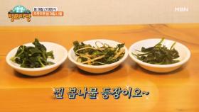 푸릇푸릇 봄 향기 가득한 봄 제철 나물, 산채정식! MBN 250317 방송