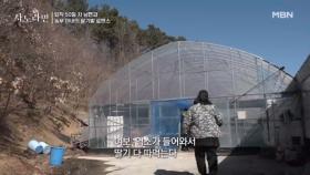 ‘염소가 들어와서 딸기 다 따먹는다!’ 조용할 날이 없는 부부의 하루~ MBN 250316 방송