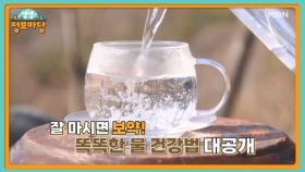 생생 정보마당 [1728회] MBN 250320 방송