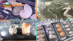 새로운 해양박물관을 꿈꾸는 자연사 수집가! MBN 250327 방송