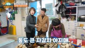 인심과 정이 넘쳐나는 자갈치 시장과 힘이 불끈 부산 곰장어! MBN 250331 방송
