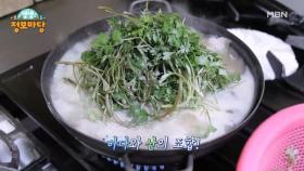 생생 정보마당 [1732회] MBN 250331 방송