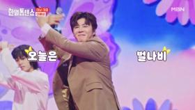 불나방을 잇는☆ 진나비 시리즈 2탄!! 진해성 ♬ 벌나비 꽃나비 MBN 250408 방송