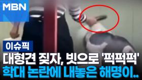 대형견 짖자, 빗으로 