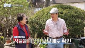 농부가 된 배우 한인수! 아내와 함께 식물도 가꾸고 ○○○ 지압으로 건강과 부부애까지 다진다? MBN 250508 방송