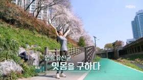 특집다큐H ＜입속 유산균 잇몸을 구하다＞ MBN 250511 방송