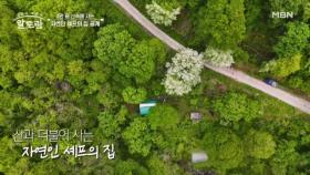 ☆특1급 호텔 양식 셰프 출신☆ 4만 평 산속에 사는 자연인 집 공개! MBN 250622 방송