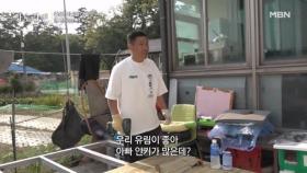 가족을 위해 평상 만드는 아빠와 아이들의 새참 이벤트~! MBN 250706 방송