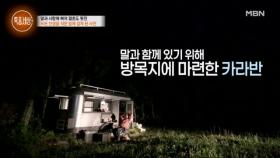 미니말에 인생을 건 남자 MBN 250710 방송