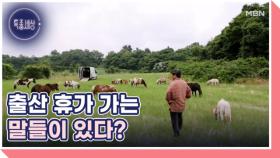 말과 사랑에 빠진 남자, 말 삼촌 송대근 씨의 사연은? MBN 250710 방송