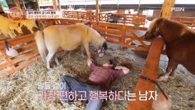 사람보다 말이 좋아요~ MBN 250710 방송