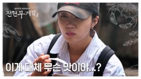 거북이 껍질로 만든 젤리가 있다? 그 뒤에 숨겨진 충격적인 맛 MBN 250711 방송