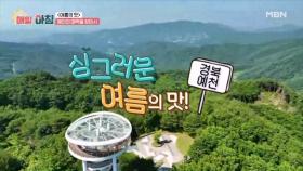 ＜여름의 맛＞ 예천의 매력을 찾아서! MBN 250714 방송