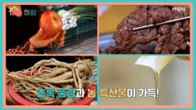 매일아침 [53회] MBN 250714 방송