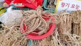 예천의 특별한 맛, 잔대! MBN 250714 방송