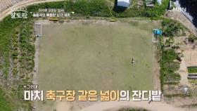 무려 500평 앞마당을 보유하고 있다고?! ☆前 축구 국가대표 송종국의 캠핑카 라이프☆ MBN 250720 방송