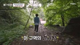 이 구역의 걷기 왕은 나야 나! 산속 파워워킹으로 혈관 건강 챙기기 MBN 250728 방송