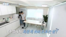 근엄하게 체중계 위에 오르는 왕?! MBN 250904 방송