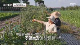 김정연 부부의 놀라운 식습관 변천사 장 건강 관리를 위해 텃밭 농사까지 섭렵 완료☆ MBN 250915 방송