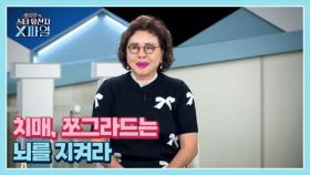 임성훈의 스타유전자X파일 101회 ＜세상에서 가장 잔인한 질병 ‘치매’ 쪼그라드는 뇌를 지켜라＞ MBN 250927 방송