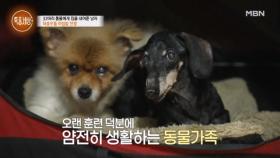 반려동물에게 집을 내준 남자 MBN 251002 방송