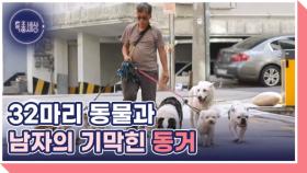 32마리 반려동물에게 집을 내어준 남자 MBN 251002 방송
