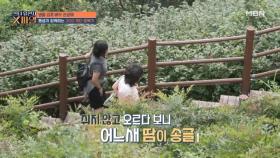 관절염 4기 맞아?? 엄두도 못 냈던 전성애 자매의 300 계단 정복기♨ MBN 251005 방송