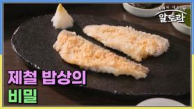 제철 밥상의 비밀 MBN 251012 방송