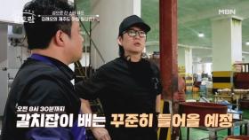 스타 셰프 강레오의 제주도 아침 일상! 이른 아침 경매와 함께 시작되는 어판장 현장 대공개 MBN 251012 방송