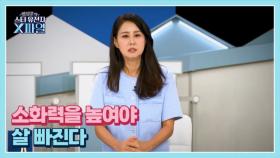 임성훈의 스타유전자X파일 103회 ＜살찌는 가을! 소화력을 높여야 살 빠진다＞ MBN 251012 방송