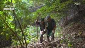 살기 위해 연구했다...자연인 생존 교과서 MBN 251015 방송