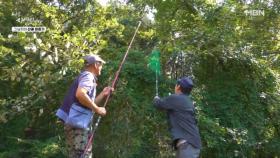 산속에서 낚시를? 열매 낚는 자연인 MBN 251015 방송