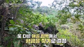 절벽 속 숨은 황금을 찾아라 MBN 251017 방송