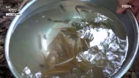 된장 한 숟갈에 물고기 잡는 산속 매직 MBN 251022 방송