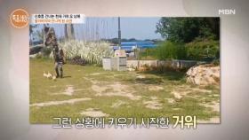 할아버지를 살린 거위? 교복 입은 할아버지와 거위 5남매의 인연은? MBN 251023 방송