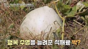 폐 건강 사수하고 행복 수명 늘리는 박 MBN 251024 방송