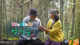 사랑도 미움도 훨훨 자연인 정경숙 MBN 251029 방송