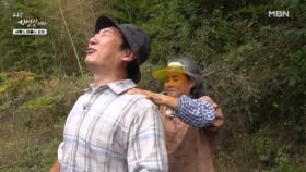 이승윤의 비명! 자연인 이승윤의 어깨를 잡다! MBN 251029 방송