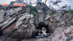 2025 APEC 개최 도시 경주에서 즐기는 자연 MBN 251028 방송