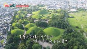 맛있고 멋스러운 ＜경주 식도락 여행＞ MBN 251028 방송