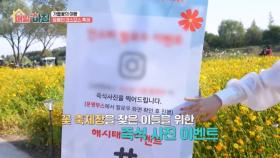 가을 정원을 수놓은 코스모스 물결! 창릉천 코스모스 축제 MBN 251030 방송