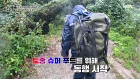 면역 충전 돕는 토종 보물을 찾기 위해 고군분투 MBN 251031 방송