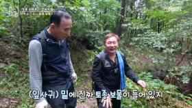 드디어!! 면역 충전 돕는 토종 보물의 정체 공개! MBN 251031 방송