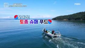 전통 깊은 토종 슈퍼 푸드를 찾아서! MBN 251031 방송