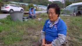 며느리의 든든한 뒷배, 일 대장 시어머니! MBN 251102 방송